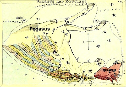 A constelação de Pegasus